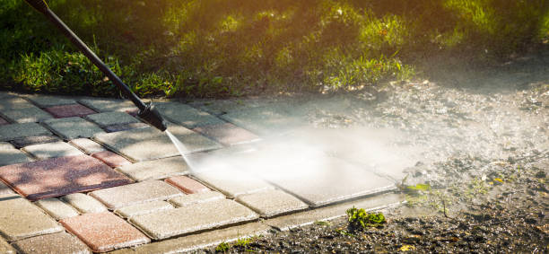 Best Animal Enclosure Cleaning  in Jersey City, NJ